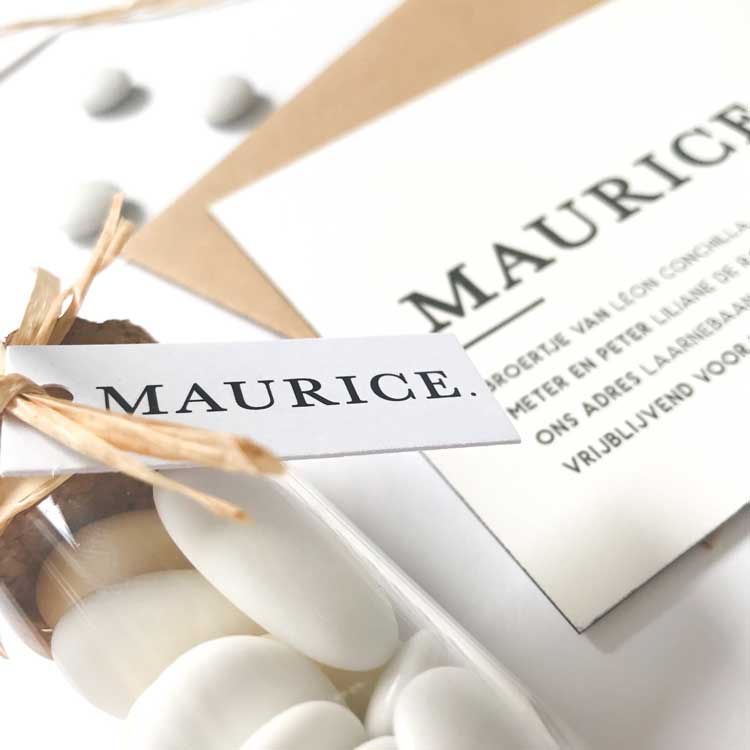 Geboorteconceptje van Maurice